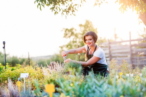 Professional garden clearance team working in Edmonton garden