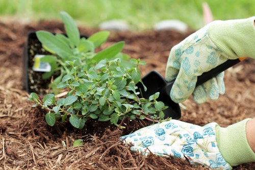 Inspector reviewing a garden site during investigation