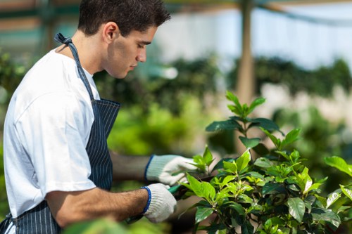 Supervisor demonstrating safe pruning techniques on a property